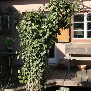 Ferienhaus Witta Ferienhaus Radebeul